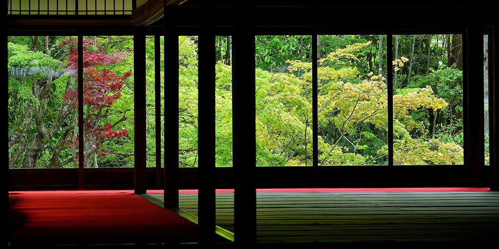 特集 京都の庭園