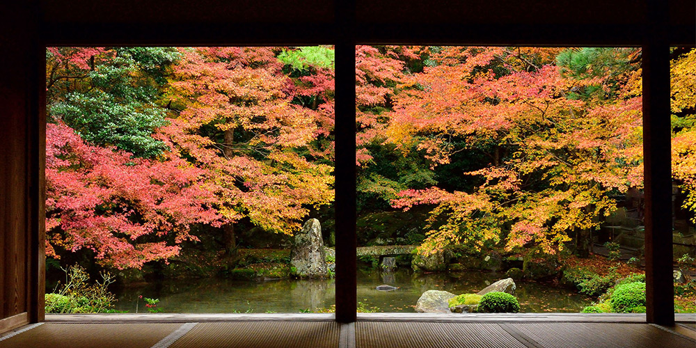 特集 京都の紅葉