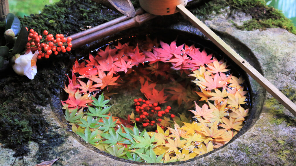 京都の紅葉～西エリア～