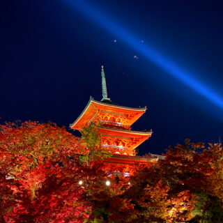 京都の紅葉～東・南エリア～