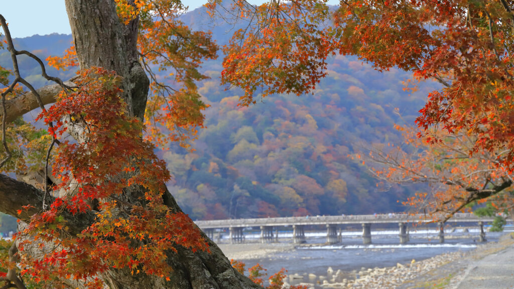 京の旅～歩いて巡る秋の嵐山～【京都観光・旅行コース】