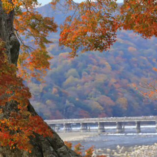 京の旅～歩いて巡る秋の嵐山～【京都観光・旅行コース】