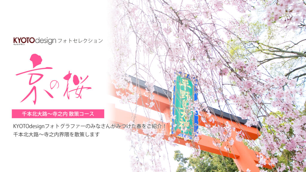 【KYOTOdesign】京都 | 千本北大路から千本寺之内 桜散策コース【フォトセレクション】