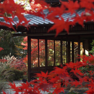 京都の紅葉～銀閣寺から南禅寺を巡る～