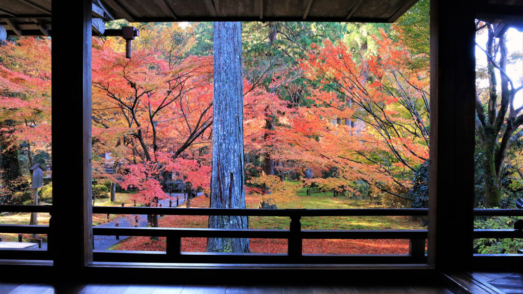 京都の紅葉～ 大原界隈～