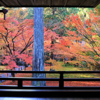 京都の紅葉～ 大原界隈～