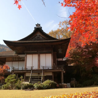 京都の紅葉～奥嵯峨満喫～