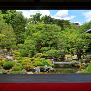 京都 衣笠～退蔵院・等持院・龍安寺～【緑の庭園】