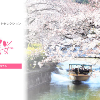 【KYOTOdesign】山科エリアで桜を愛でる 【京都の桜の名所】