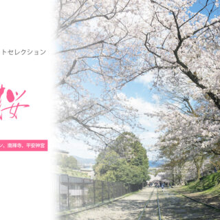 【KYOTOdesign】インクライン～南禅寺～平安神宮【京都の桜の名所】